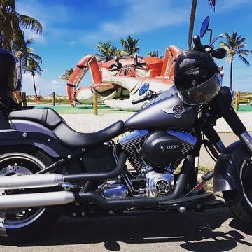 Harley-Davidson 7272