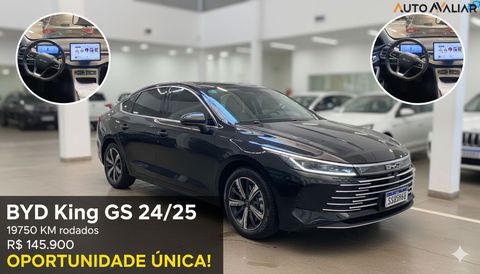 BYD King GS 24/25 14013